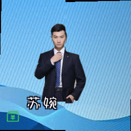 苏婉